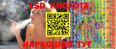 spice Обь