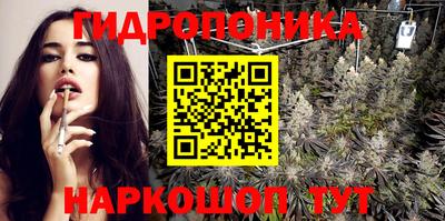 spice Обь