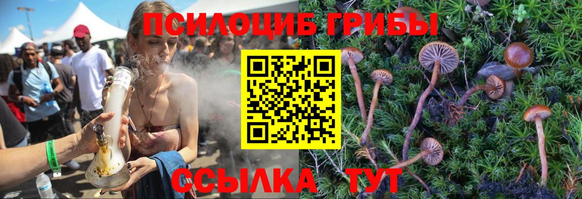 Галлюциногенные грибы Magic Shrooms  закладки  Вход с VPN  Первоуральск  Галлюциногенные грибы мухоморы 